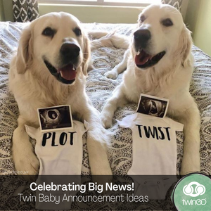 Letting the Cat Out of the Bag: Twin Pregnancy Announcements